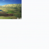 avatar how to.png