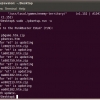 Updating PunkBuster
