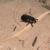 Thaimaa picture 9.jpg