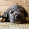 Our Baby