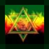 zion lion 1