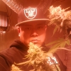 Big Bud