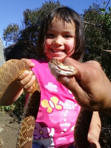 Abigale Rattlesnake