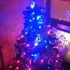 Small Christmas Tree