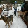 Snow