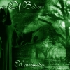 Children Of Bodom wallpaper (9)