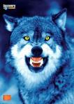 WolfHunter's Photo
