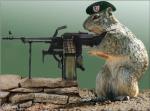 Steven D Allen's Photo