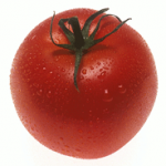 Tomato's Photo