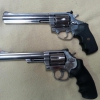 Smith & Wesson and Rossi