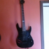 ESP LTD