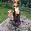 Salmon making on backyard
