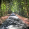 cobb road1 tonemapped