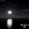 moolit mermaid night Sky