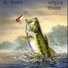bass fishing