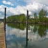 The edge of the Columbia river along Lewis and Burke trail