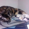 Sky sleeping