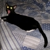 yawning