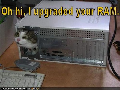 Cat RAM1
