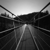 The Bridge