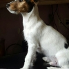 Izzy