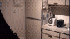post-8001-0-33709400-1326594714_thumb.gif
