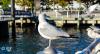 DSC_5864-2.jpg