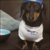 post-11057-0-88417700-1391458472_thumb.gif