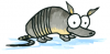 armadillo.png