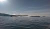 IMAG0227.jpg