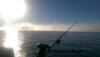 IMAG0217.jpg