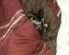 post-9901-0-83834800-1427120293_thumb.jpg