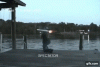 post-8926-0-98015500-1522105182.gif
