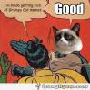 post-8075-0-21459700-1365986620_thumb.jpeg