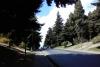 20160309_150541.jpg
