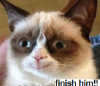 post-5064-0-02404700-1401043684_thumb.png