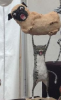 post-5064-0-46307400-1401043639_thumb.png