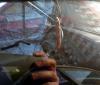 post-14549-0-52705200-1462135471_thumb.jpg