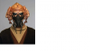 post-17896-0-00460500-1496036435_thumb.png