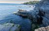 DSC_0171.jpg