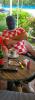 post-17859-0-22169700-1466632760_thumb.jpg