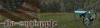 post-8873-0-64256500-1373480954_thumb.png