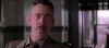 DistinctIdioticEidolonhelvum.gif