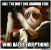 grumpy-cat-hates-us-all_o_935133.jpg