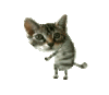 post-15148-0-24801600-1407430076_thumb.gif
