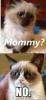 post-15148-0-44229700-1407776509_thumb.jpg