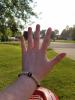 post-168-0-14826000-1470090537_thumb.jpg