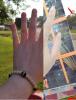 post-168-0-76217300-1471110401_thumb.jpg