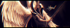 post-12610-0-05113100-1380975150_thumb.png