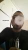post-20970-0-83829900-1507329734_thumb.jpg
